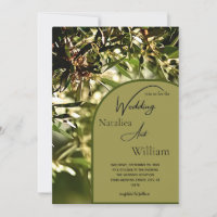 Modern Green Olive Tree Background Wedding 
