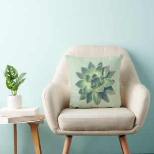 Modern Green Succulent Plant on Light Green Cushion