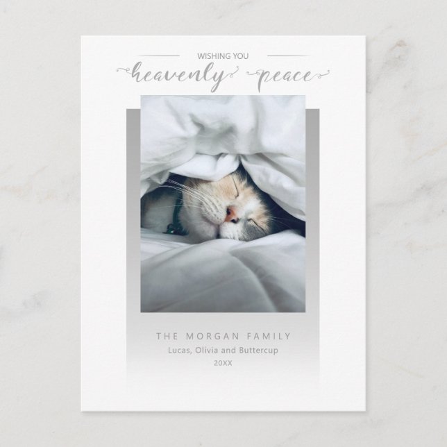 Modern Heavenly Peace Calligraphy Pet Photo Postcard (Front)