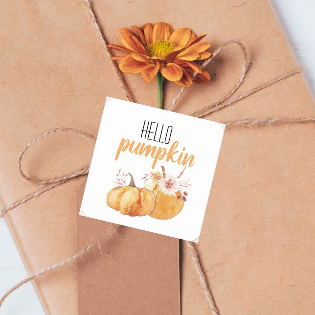 Modern Hello Pumpkin Orange Pumpkin With Flowers Square Sticker (Creator Uploaded)