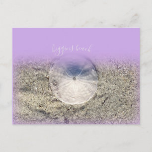 Modern Higgins Beach Maine Sand Dollar Purple Ombr Postcard