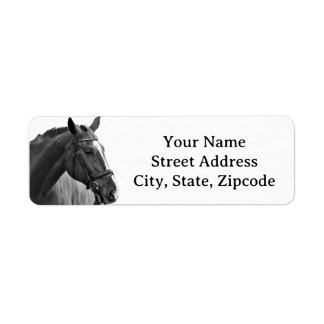 Modern Horse Black and White Equestrian Return Address Label