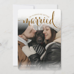 Modern Humans Getting Married Pet Photo Engagement Save The Date