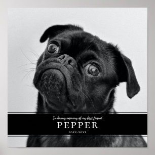 Modern In Loving Memory Pet Dog Memorial Photo Poster