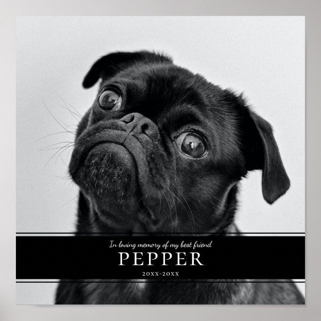 Modern In Loving Memory Pet Dog Memorial Photo Poster (Front)
