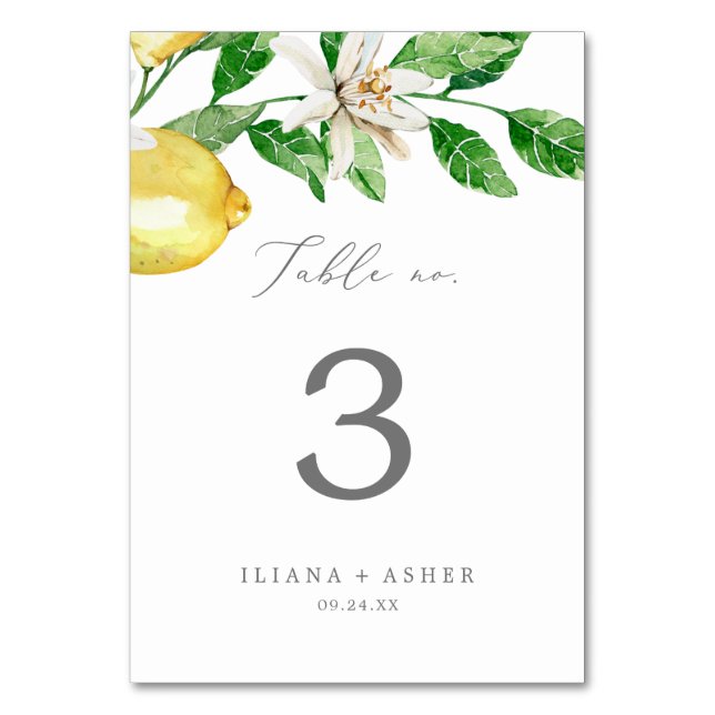 Modern Lemon Garden Table Number (Front)