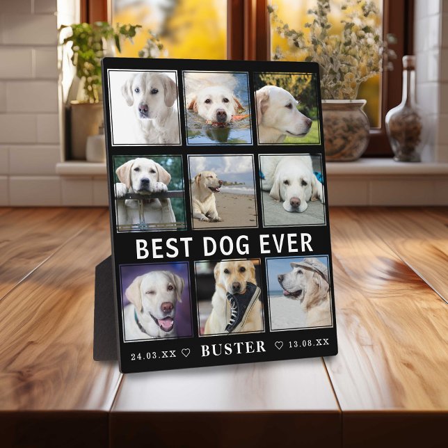 Modern Loss of Pet | Best Dog Ever Photo Collage Plaque (Creator Uploaded)