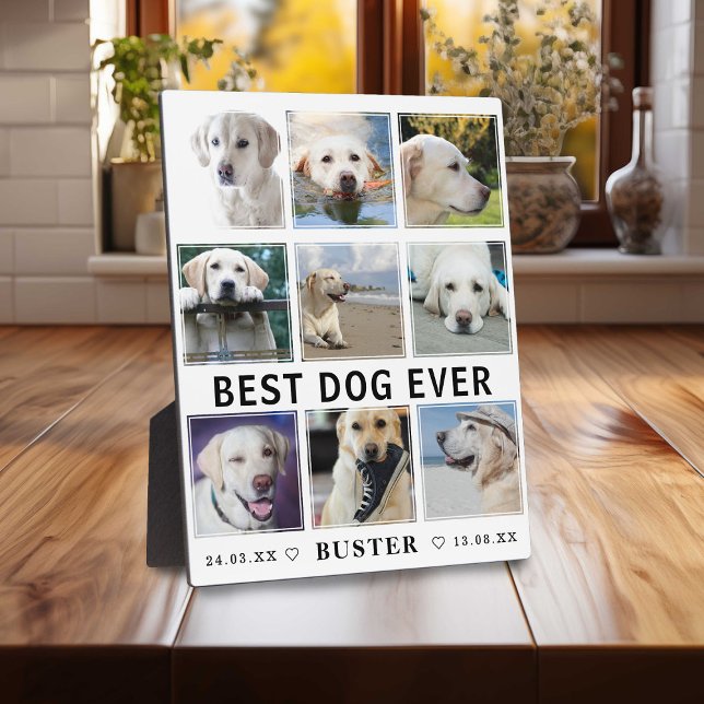 Modern Loss of Pet | Best Dog Ever Photo Collage Plaque (Creator Uploaded)