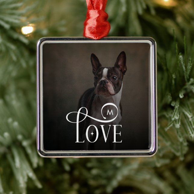 Modern Love Custom Dog Pets Photo Monogram Metal Ornament (Tree)
