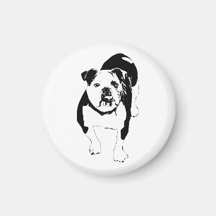 Modern Magnet, Bulldog Accent Magnet
