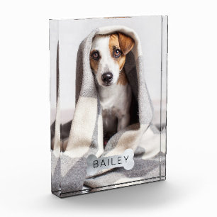 Modern Minimal Pet Faux Silver Dog Bone Photo Block