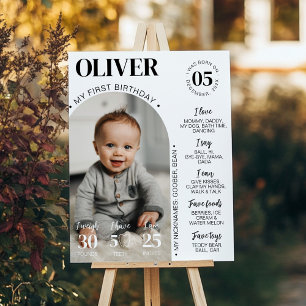 Modern Minimalist First Year Photo Milestone Poster