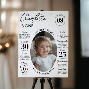 Modern Minimalist First Year Photo Milestone Poster