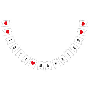 Modern Minimalist Just Married Newlyweds Bunting