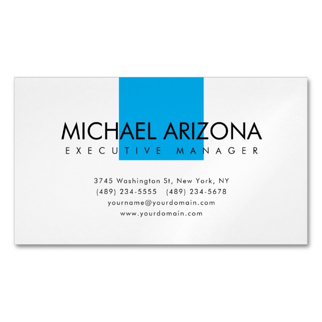 Modern Minimalist Simple Plain Magnetic Business Card (Front)
