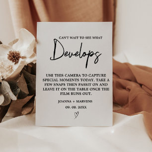 Modern minimalist  wedding disposal camera sign