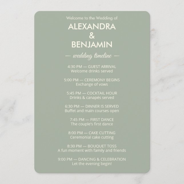 Modern Minimalist Wedding | Sage Green Timeless  Program (Front)