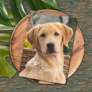 Modern My Best Friend Picture Love Paw Print Card