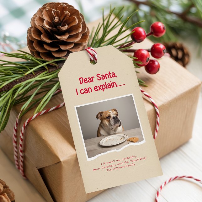 Modern Naughty Funny Dog Pet Photo Christmas Gift Tags (Creator Uploaded)