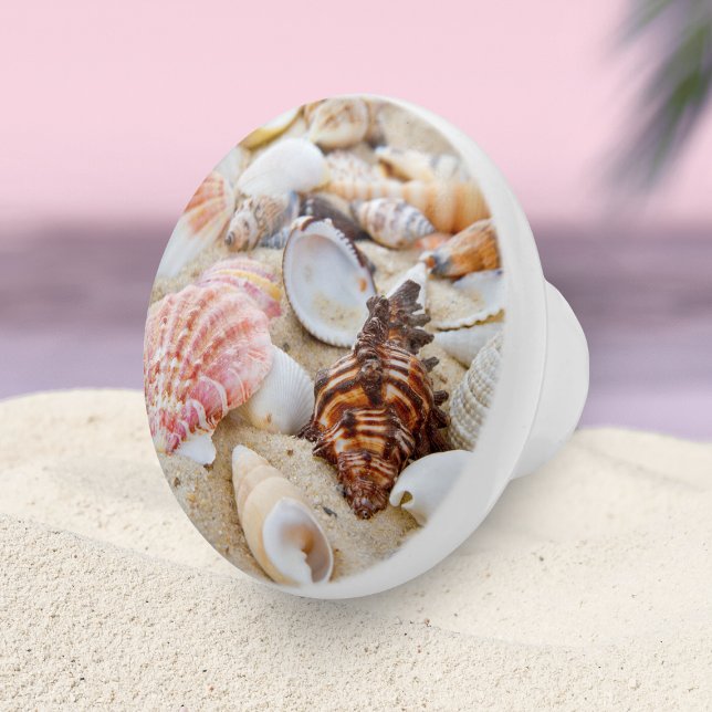Modern Nautical Ocean Sand Beach Seashells Ceramic Knob (Creator Uploaded)