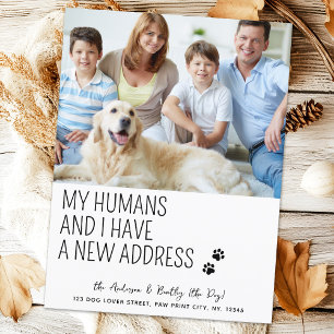 Modern New Address We Moved Pet Photo Dog Moving Postcard