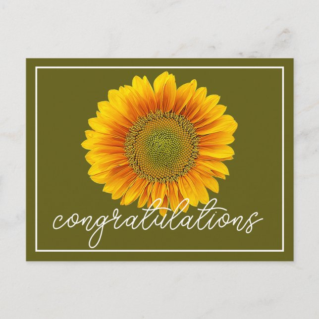Modern Orange & Yellow Sunflower Congratulations Postcard (Front)