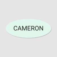 Modern Oval Name Tag Pin or Magnetic Mint Green