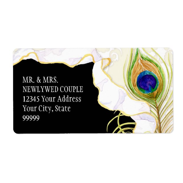 Modern Peacock Feathers Faux Ribbon Damask Swirl (Front)