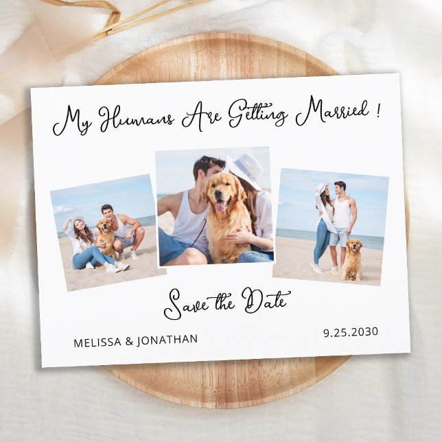 Modern Personalised 3 Pet Dog Photo Save The Date  Announcement Postcard (Creator Uploaded)