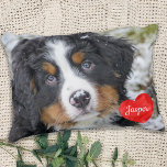 Modern Personalised Photo Dog lover Pet Decorative Cushion<br><div class="desc">Celebrate your best friend with a personalised Pet Pillow . Name will be showcased in a beautiful watercolor heart . Customise with your own photo , and name . Perfect gift for a dog lover friend, pet loss keepsake , even for family, best friends, sisters, siblings, or grandparents . COPYRIGHT...</div>