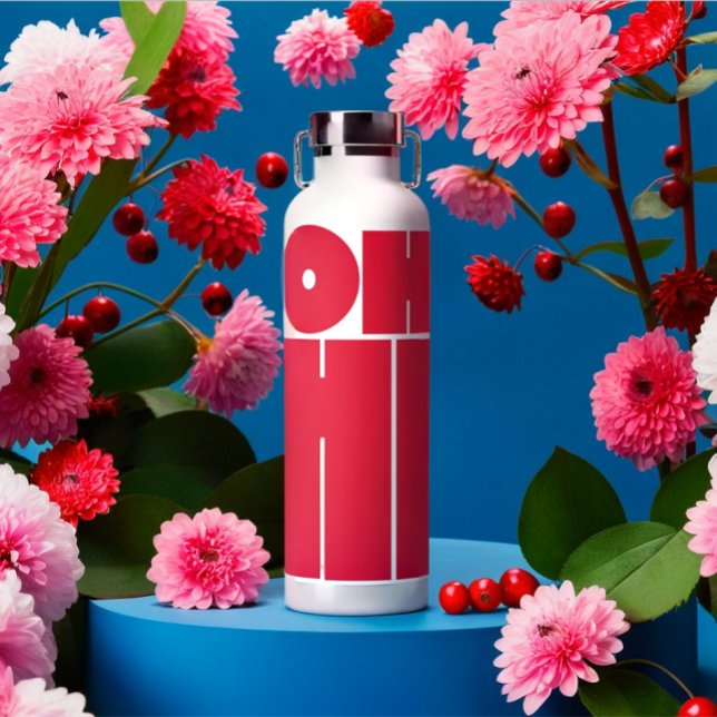 Modern Personalised Text OH HI Pink Colour Water Bottle (Modern personalized pink color text water bottle)