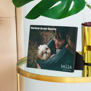 Modern Pet Memorial Pet Photo Plaque