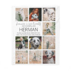 Modern Pet Memorial Photo Collage