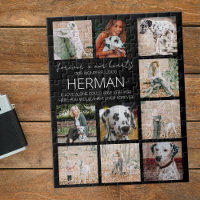 Modern Pet Memorial Photo Collage