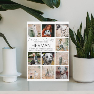 Modern Pet Memorial Photo Collage Plaque