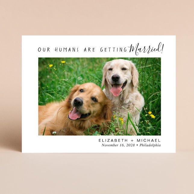 Modern Pet Photo Engagement Save The Date Announcement Postcard (Creator Uploaded)