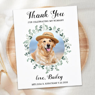 Modern Pet Photo Eucalyptus Dog Wedding Thank You Postcard