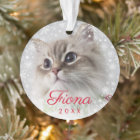 Modern Pet Photo Paw Print and Snowflake Frame