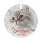 Modern Pet Photo Paw Print and Snowflake Frame