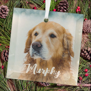 Modern Pet Photo Personalised Whimsical Dog Lover  Glass Tree Decoration