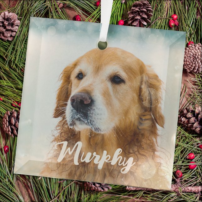 Modern Pet Photo Personalised Whimsical Dog Lover  Glass Tree Decoration (Creator Uploaded)