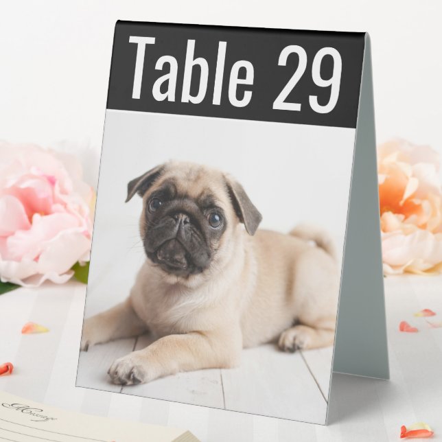 Modern Pet Photo Wedding Table Number (In SItu (Wedding))