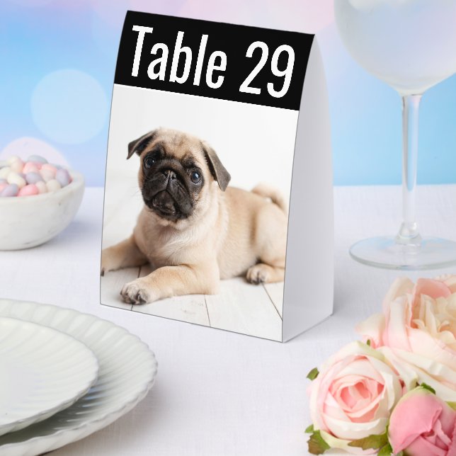 Modern Pet Photo Wedding Table Number (Insitu(Wedding))