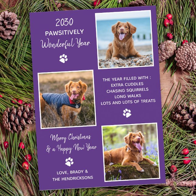 Modern Pet Year in Review Dog 3 Photo Collage Holiday Card (Creator Uploaded)