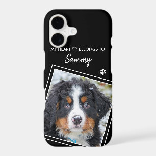 Modern Photo Black Pet Dog