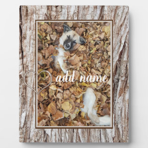 modern Photo collage dog pet funny Plaque