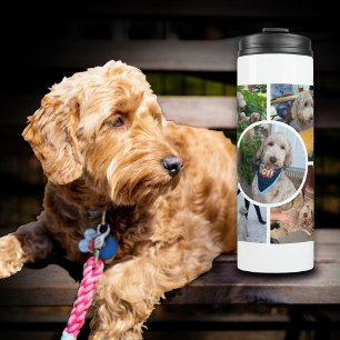 Modern Photo Collage Thermal Tumbler