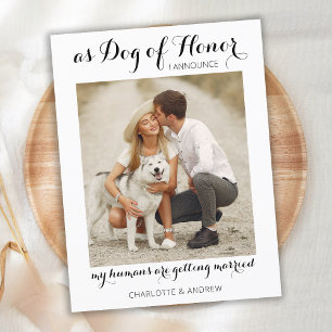 Modern Photo Dog Of Honour Pet Wedding Engagement Announcement Postcard