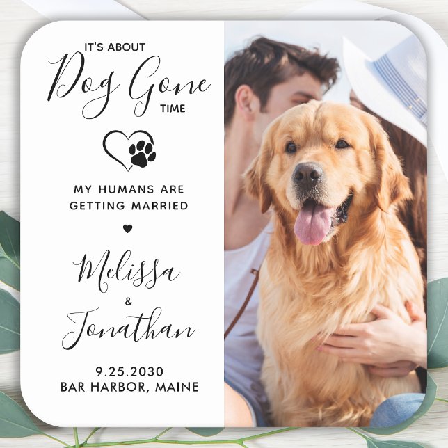 Modern Photo Funny Pet Wedding Dog Save The Date  Square Paper Coaster (Creator Uploaded)