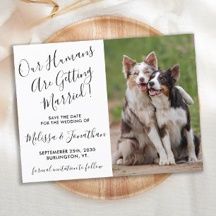 Modern Photo Personalise Pet Wedding Save The Date Announcement Postcard